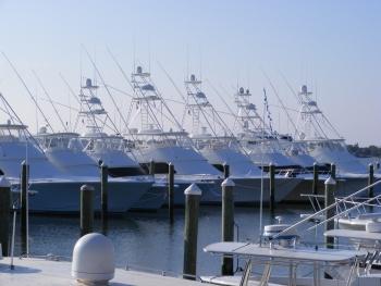 Marine Surveys by ARC Marine Survey, Alan Ritter, SAMS® AMS®, Rio Grande, New Jersey, USA